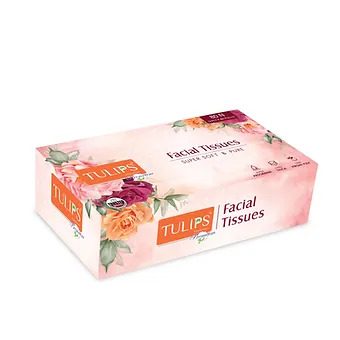 Premium Facial Tissue Paper (3 Ply, 80 Pulls) - Image 4